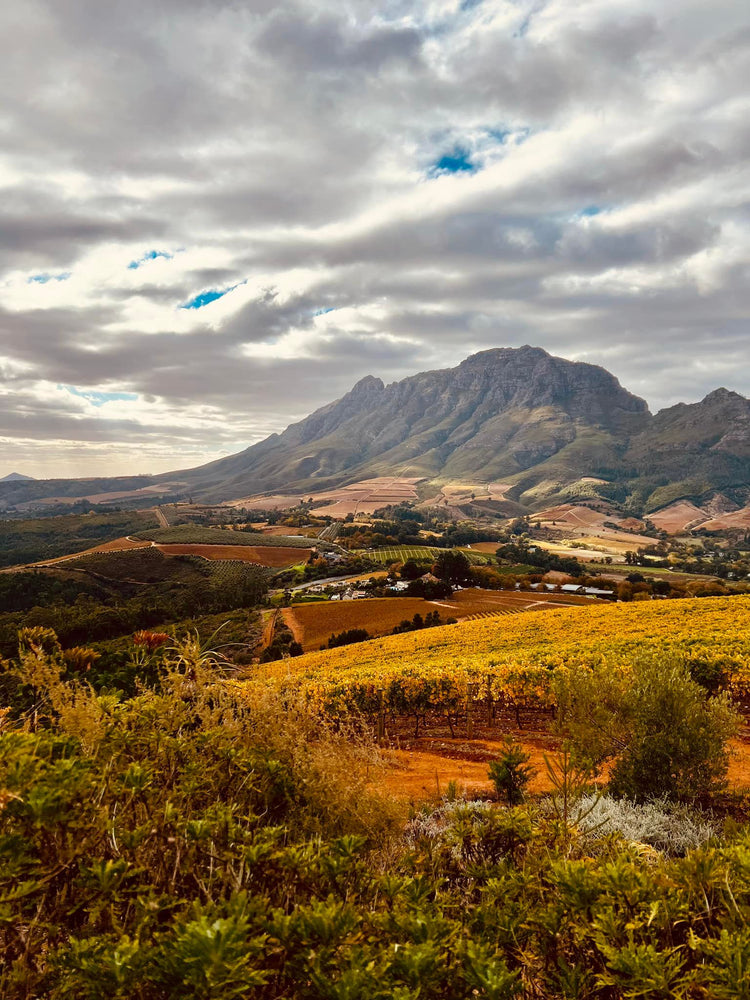 Cosy Time - Weine für die kalte Jahreszeit