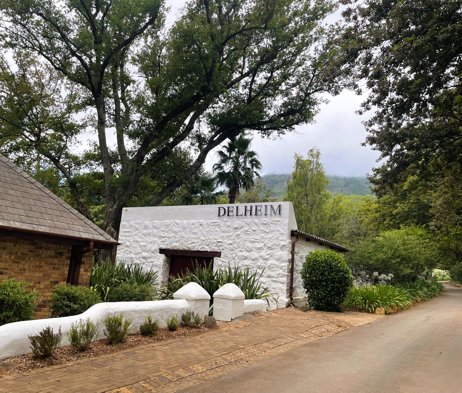 Der Eingang zum Weingut Delheim. Ein kleines weißes Gebäude, im Hintergrund die Weinberge.