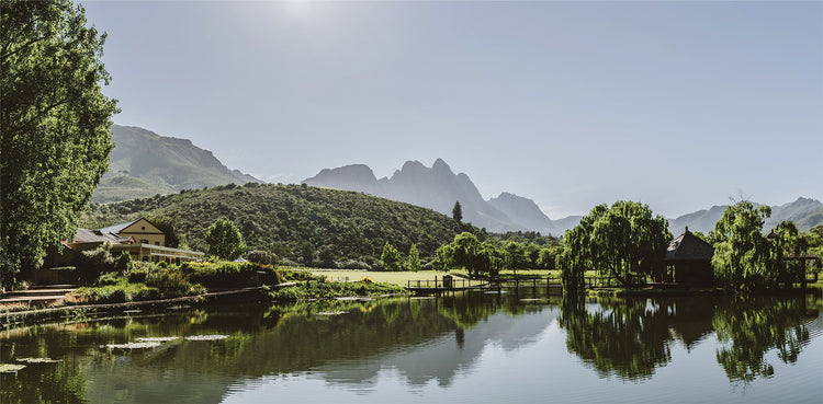 Blick auf einen großen Teich, die Berge von Stellenbosch im Hintergrund