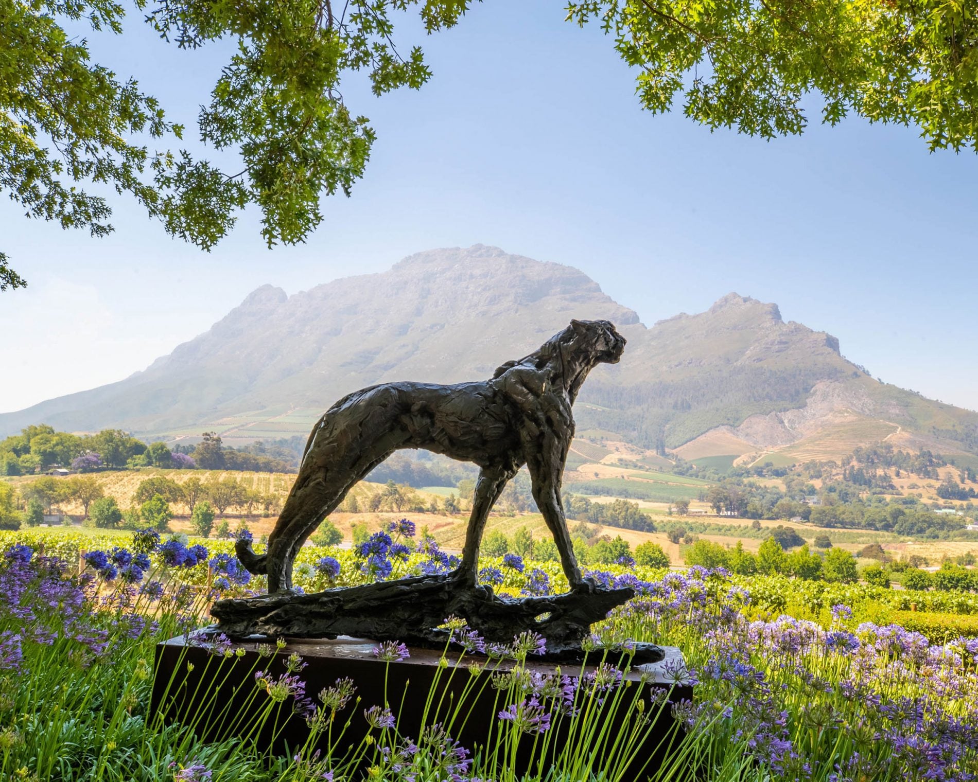 Skulptur im blühenden Garten vom Weingut Delaire Graff in Stellenbosch