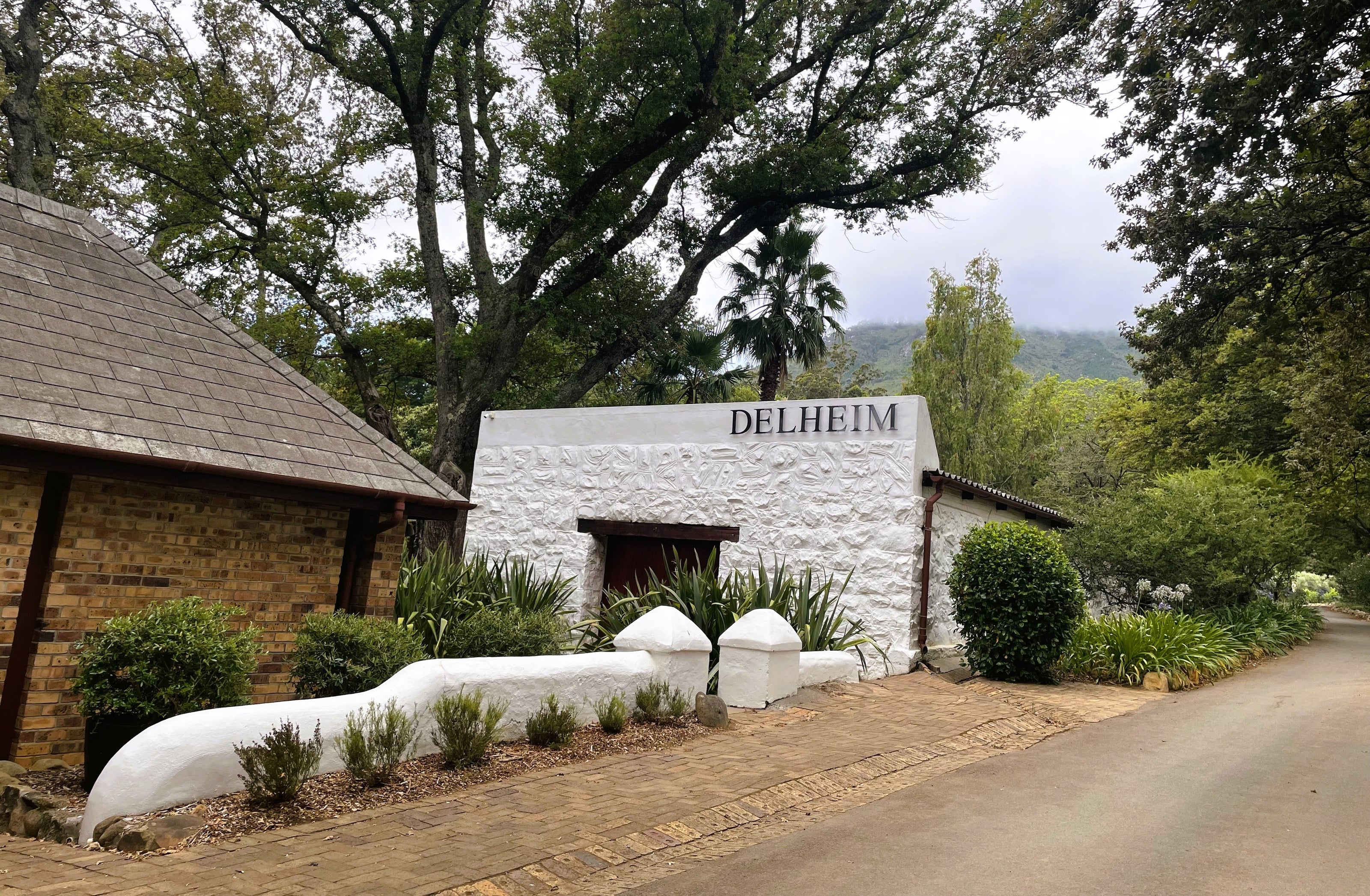 Eingang zum Weingut Delheim in den grünen Weinbergen Stellenboschs