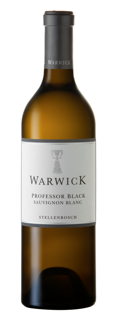 Professor Black - Sauvignon Blanc 2023