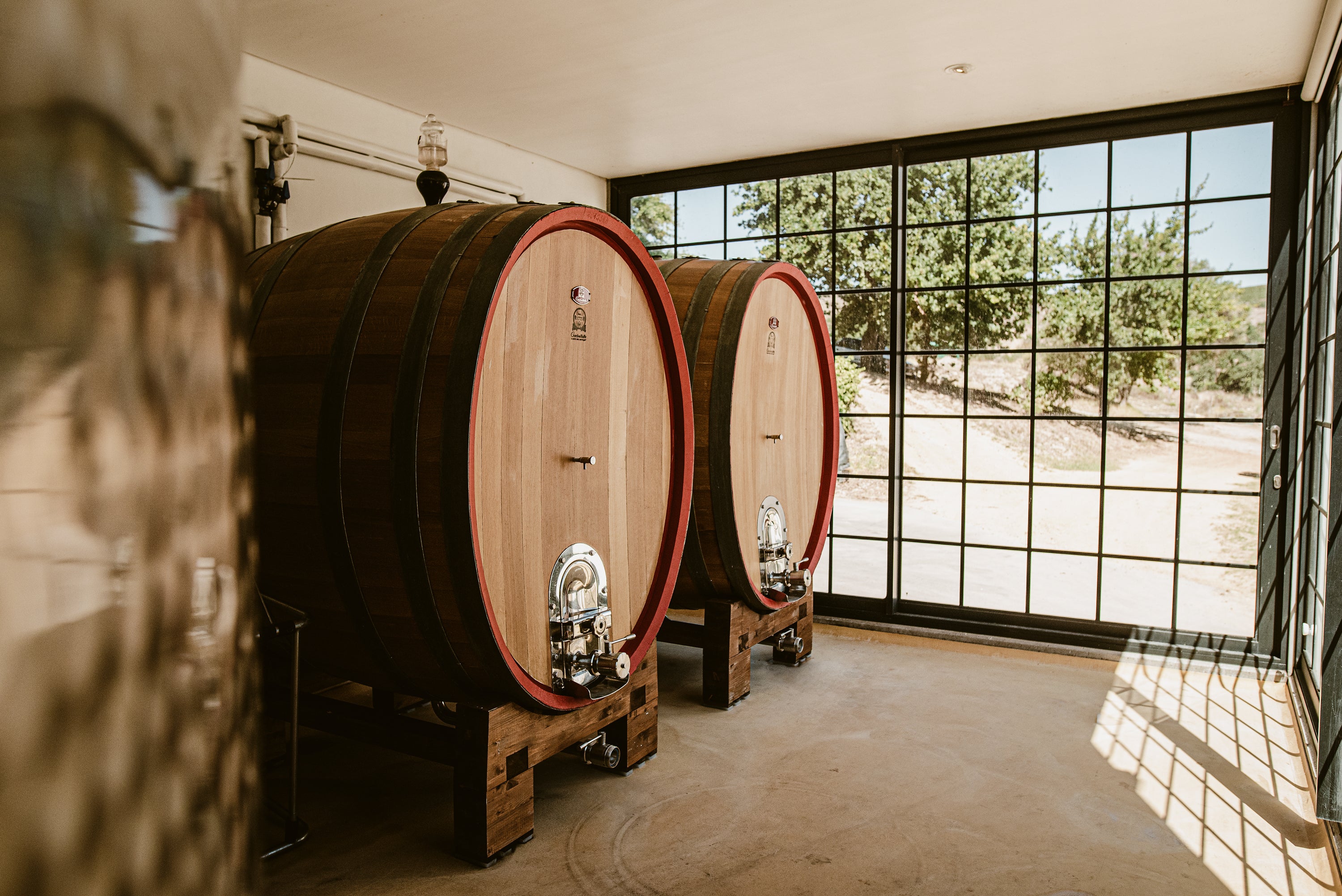 große Eichenfässer im lichtdurchfluteten Lagerraum des Weinguts M-A-N