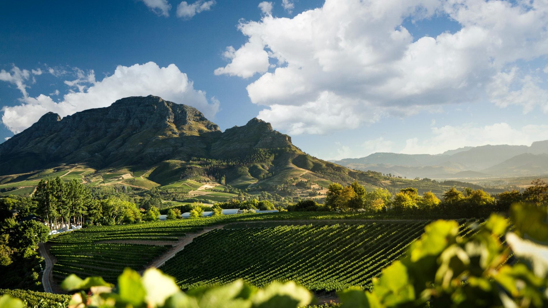 Blick vom Weinberg auf die dramatische Landschaft entlang des Banghoek-Passes in Stellenbosch