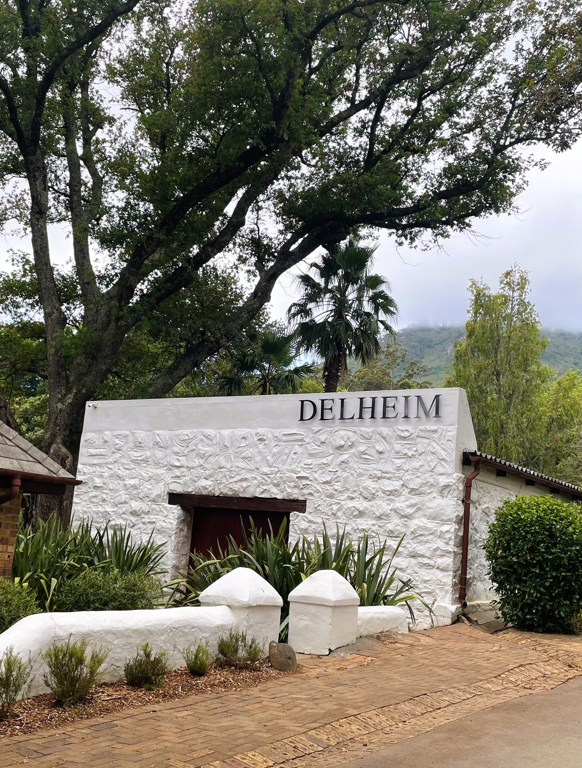 Eingang vom Weingut Delheim mitten in den Weinbergen von Stellenbosch