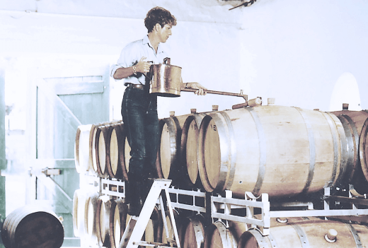 Alte Aufnahme von Nora im Weinkeller